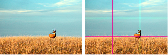 rule of thirds examples before and after